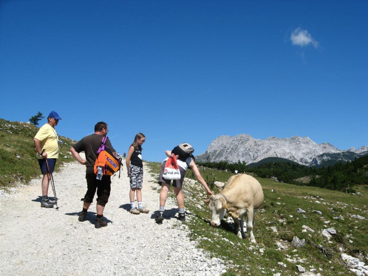 Alpine Chalet Velika Planina - Irenca - I Feel Alps Stahovica Екстериор снимка